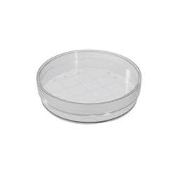 Petri Kutusu Plastik 60 mm 10 Adet