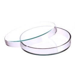 Petri Kutusu Cam 150 mm